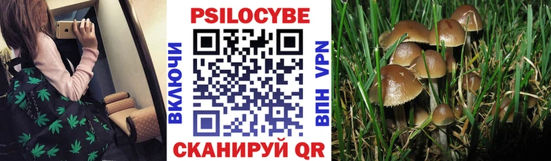 Псилоцибиновые грибы MAGIC MUSHROOMS  Рыбное 
